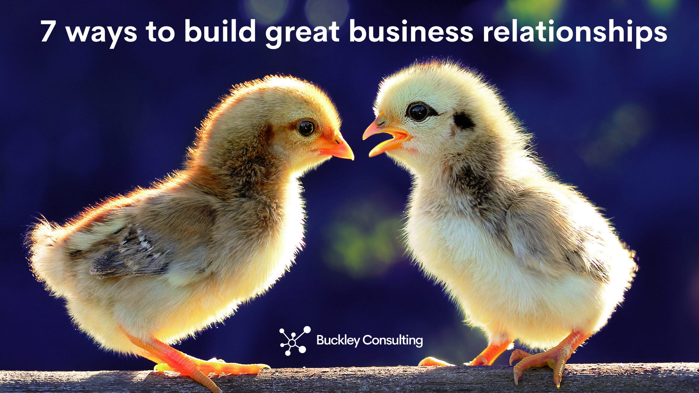 7 ways to build great business relationships