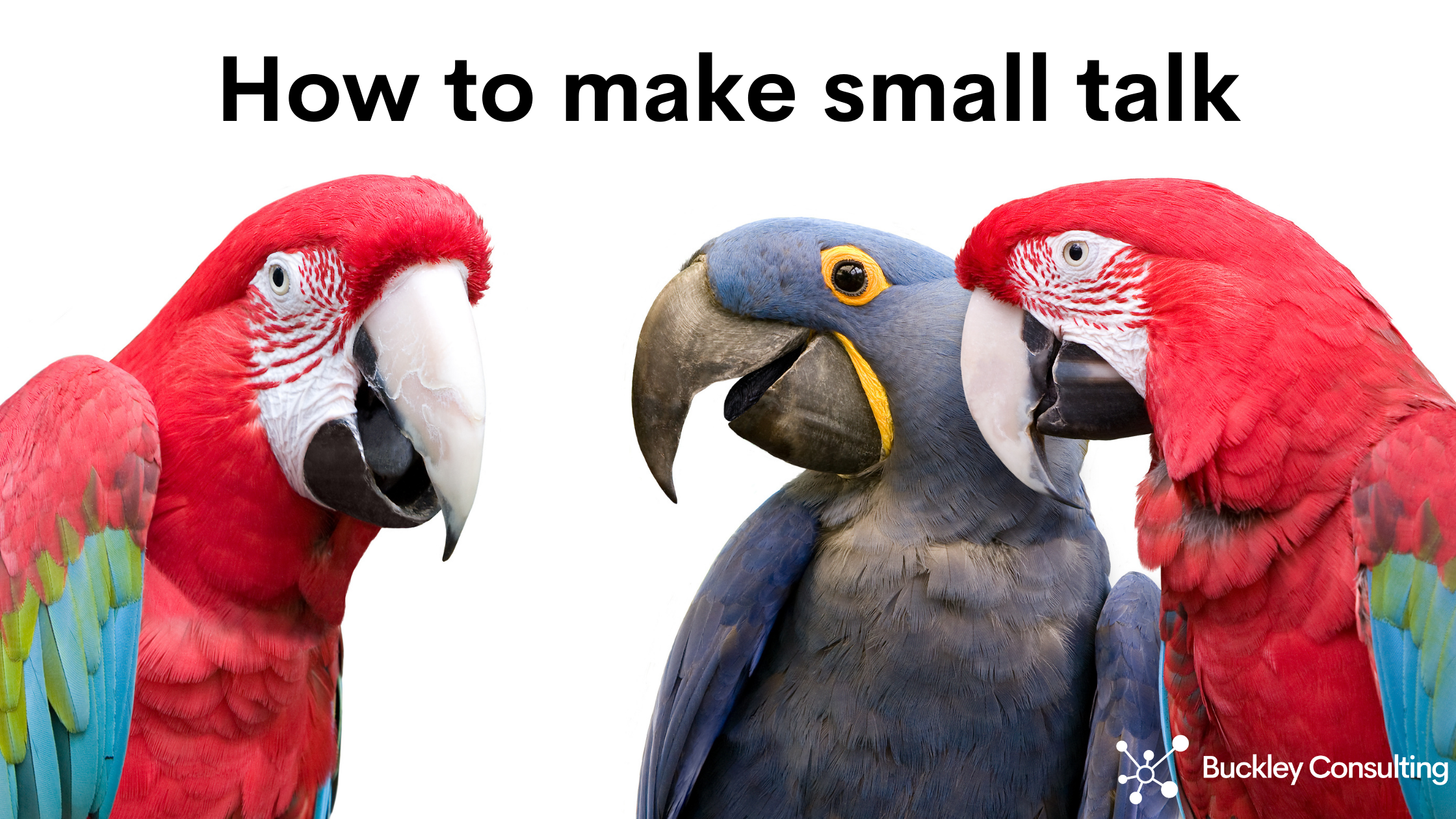 How to make small talk