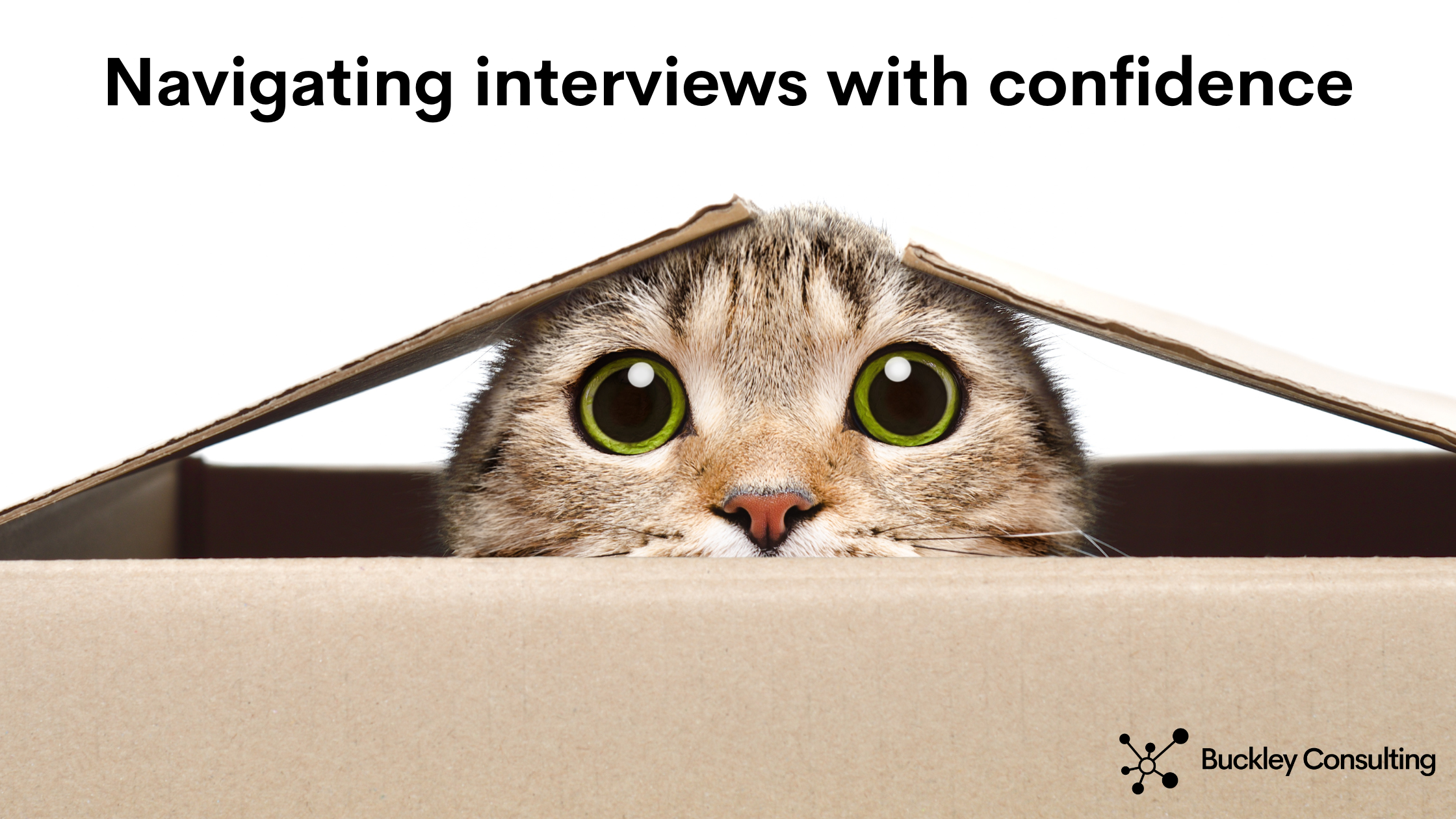 Navigating interviews and confidence