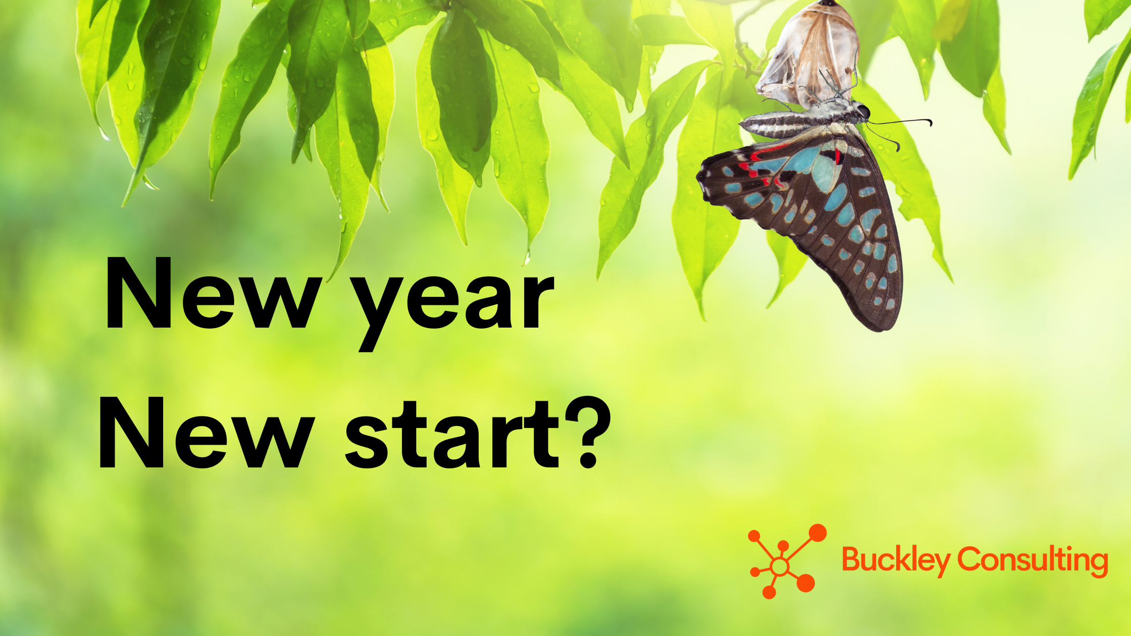 New year, new start?